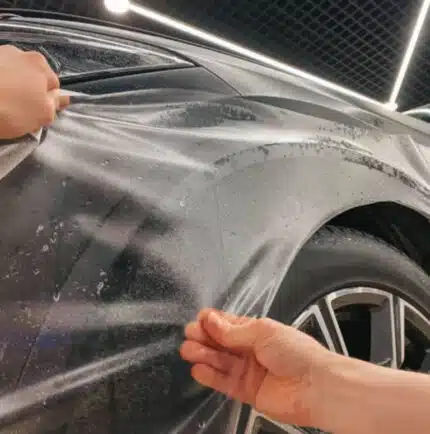 Paint Protection